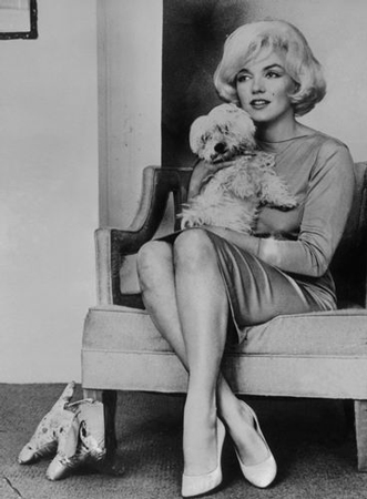 朱莉被证实出演性感女神梦露