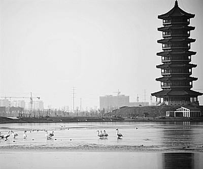 发展旅游业的好处_杭州市旅游业收入