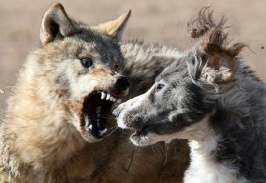 太犀利了这才是股市的本质