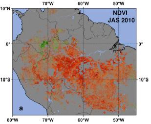2010年严重旱灾导致亚马逊雨林植被减少图片