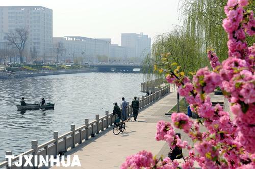 天津市武清区的京杭大运河北运河段春意