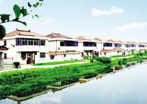 北上广人均存款_年人均纯收入的意思