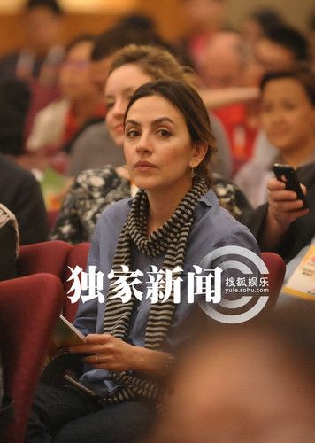 娱乐圈洋女婿媳妇 蔡国庆瑞士<em>女友姜文</em>娶法国
