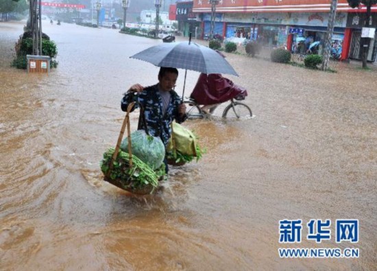 萍乡50万人口迁徙_富士康或解决河南50万人就业 候鸟式 迁徙消失(3)