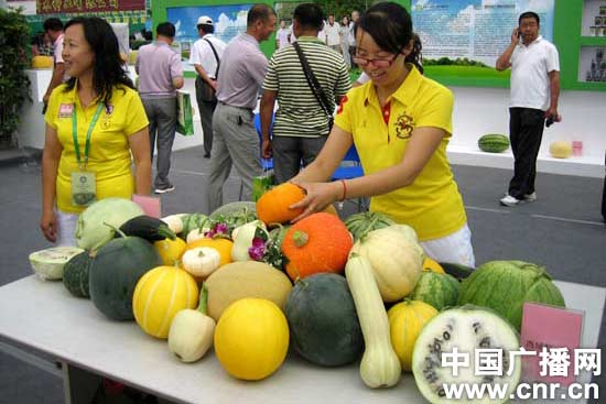 2011年新疆(昌吉)种子展示交易会开幕_新闻台