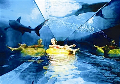 水下旅馆: 恋上海底世界