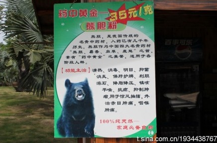 南宁动物园贴广告公开售卖熊胆粉 回应称不应