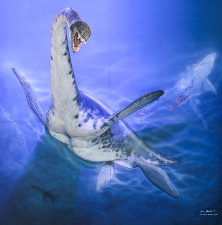 南极发现8500万年前蛇颈龙化石身长7米(图)