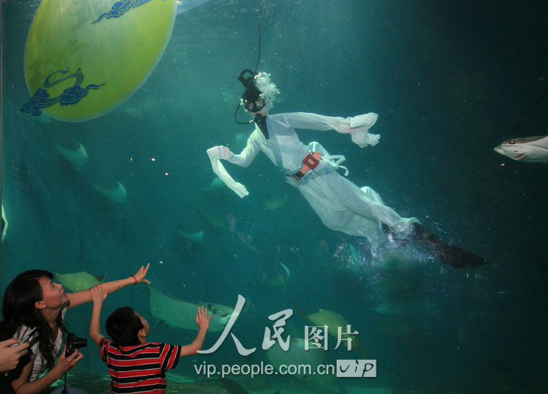 上海水族馆嫦娥与鲨同游 游客观赏 嫦娥奔月 (