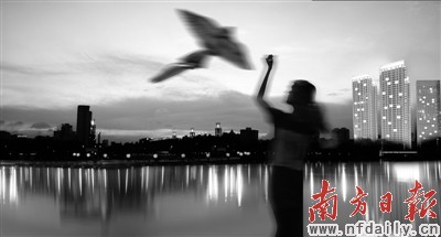 南海gdp_2011上半年海南GDP预计达1220亿元 增长10 左右(2)