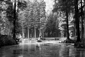 泰州兴化美食二日游