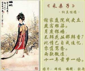 纳兰容若有几妻?揭秘 清代第一词人 的 秘密婚