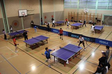 驻瑞士使馆与旅瑞学界举行乒乓球友谊赛