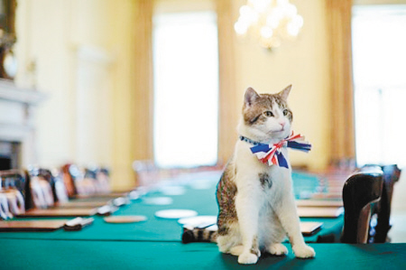英公务猫不务正业首相亲自剿鼠