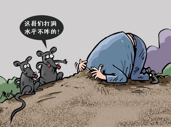 漫画时事:硕鼠挖地道