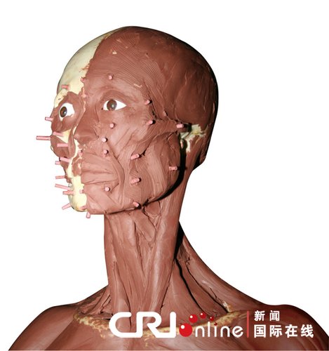 韩国成功复活1500年前<em>小女仆</em> 白骨变美女_新