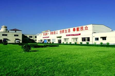 思念食品国际化视野铸就全球品牌