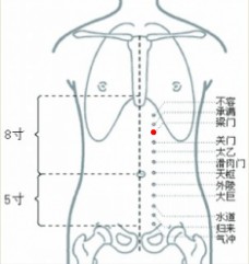 肝气犯胃者,常见攻撑作痛,连及两胁等;脾胃虚寒者,常见隐隐作痛,泛吐