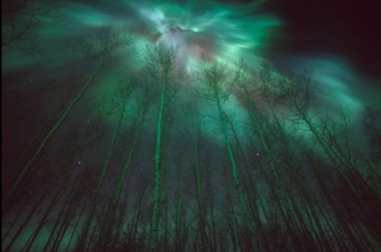 极光图片超清 7599813199838951433.jpg