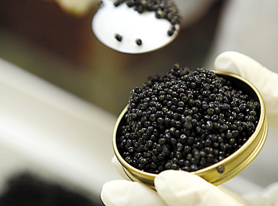 464478418829135573.jpg