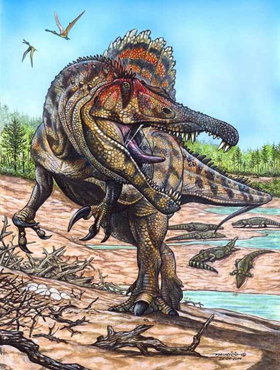 三排牙齿可替换的巨型食肉恐龙重见天日