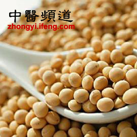 怎么种大豆种子 5776439259648180296.jpg