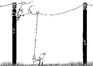 4799947159595467315.jpg