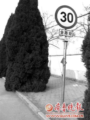 在十字路口限速40的指示牌. 侯冬