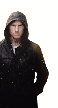 金陵十三钗票房总收入_碟中谍4票房收入