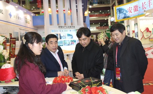 最是草莓起风情顺平县县长带队参加世界草莓大会