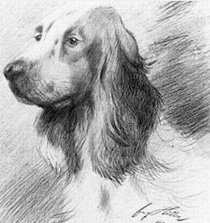 罕见!战争恶魔希特勒所绘绝版温情画(1)(1)