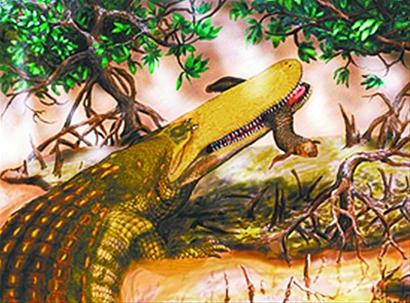 国科学家发现最古老鳄鱼用长脸当 捕鱼陷阱
