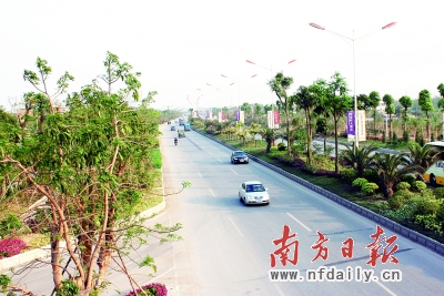 莫斯科人均绿地面积_广东省人均绿地面积