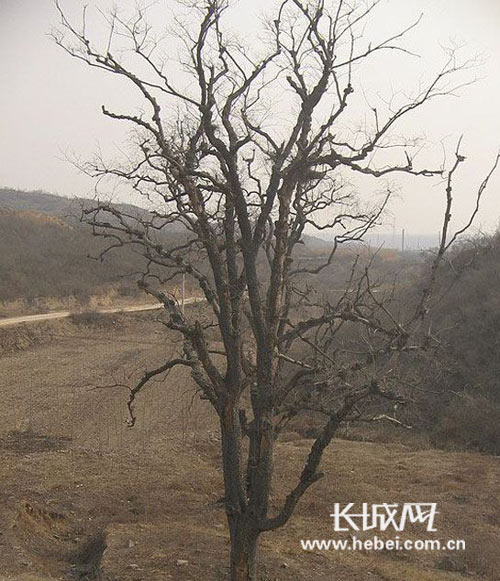 谢增良 摄听着当地信男善女述说着关于禅房寺的各