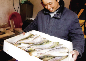 新聞臺 新聞中心 漁民繆春景準備將當天上午撈到的刀魚打包發運,他