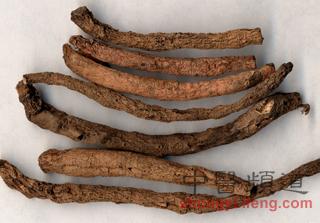 仙茅是补阳温肾之专药它有真伪