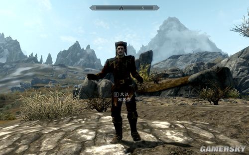 有爱吗国内玩家自制上古卷轴5塔罗牌