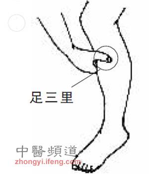 脾胃腿部的位置图图片
