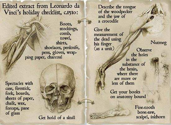 达芬奇笔记新发现任务清单:观察鳄鱼绘制头骨