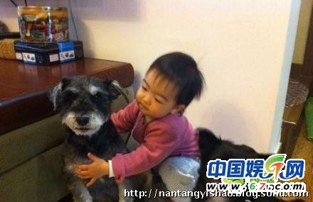 张嘉译王海燕2岁萝莉女儿可爱私房照首曝光(图)