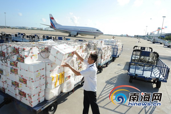 海南荔枝热销广州 日均空运出岛10吨