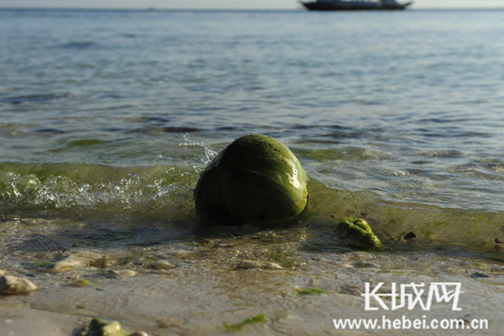 椰林海鲜一号码头_椰林飘香鸡尾酒_海鲜