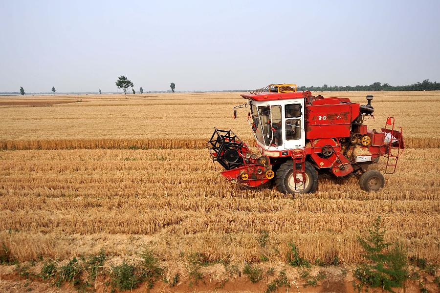 收割机视频收割麦子 7390463422891012929.jpg