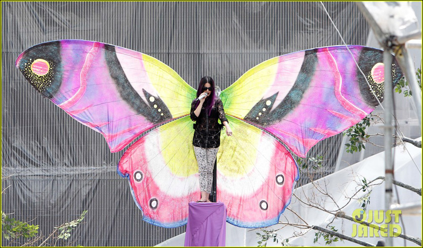 疯狂猜图 紫色蝴蝶_Two Butterfly Between the Finger Ring指间戒.-蝶舞花绽 珍珠母贝珠宝...