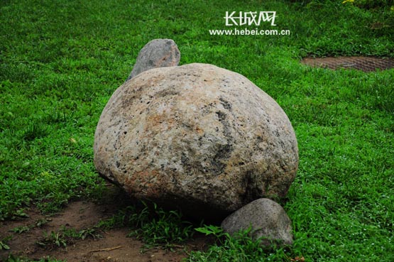 真有趣廊坊人民公园三块石头组成龟组图