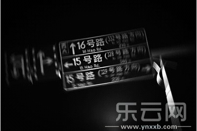 昆明大商汇附近一全数字路牌迷倒大批老驾