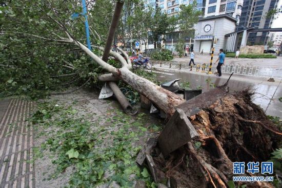 组图:台风达维登陆 辽宁省发布蓝色预警