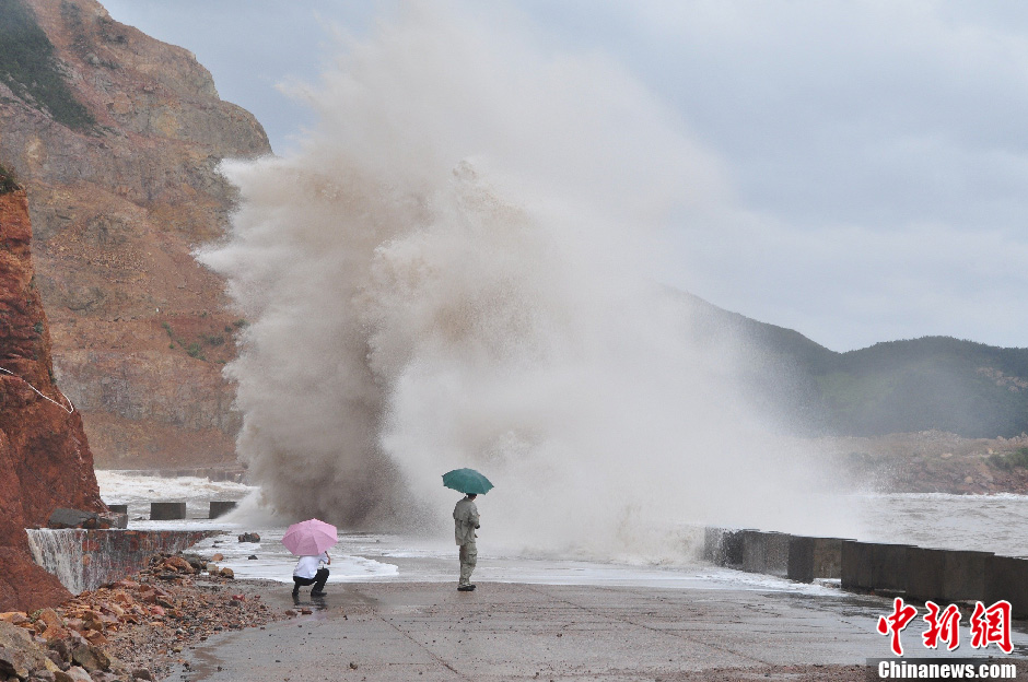 台风海葵逼近浙江 大量渔船回港避风