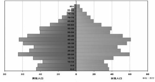 对人口金字塔的分析_北京市第六次全国人口普查GIS正式验收(2)