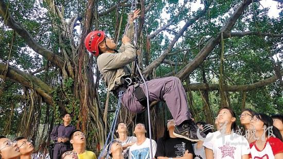 厦门大学学生开始爬树了 台湾交换生坦言很幸